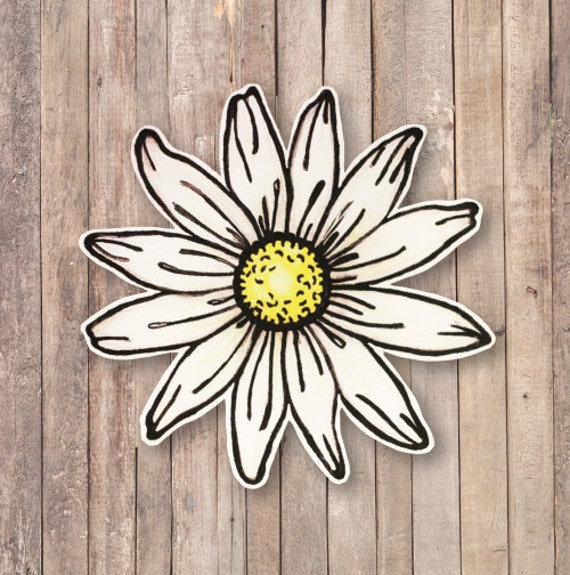 Hand Drawn Daisy Vinyl Decal