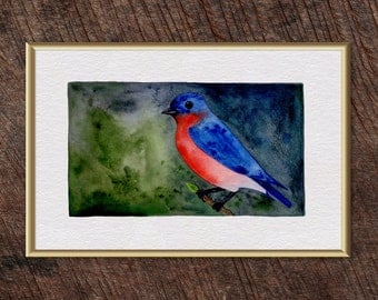 Eastern Bluebird Watercolor Print - 8" x 12" - FREE SHIPPING