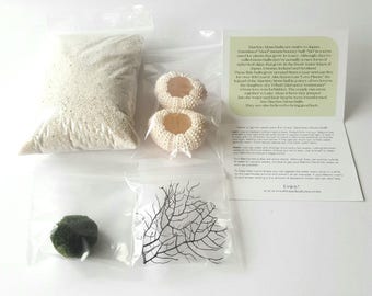 Marimo Moss Ball Aqua Terrarium Kit, Moss Ball Included, Marimo Supplies
