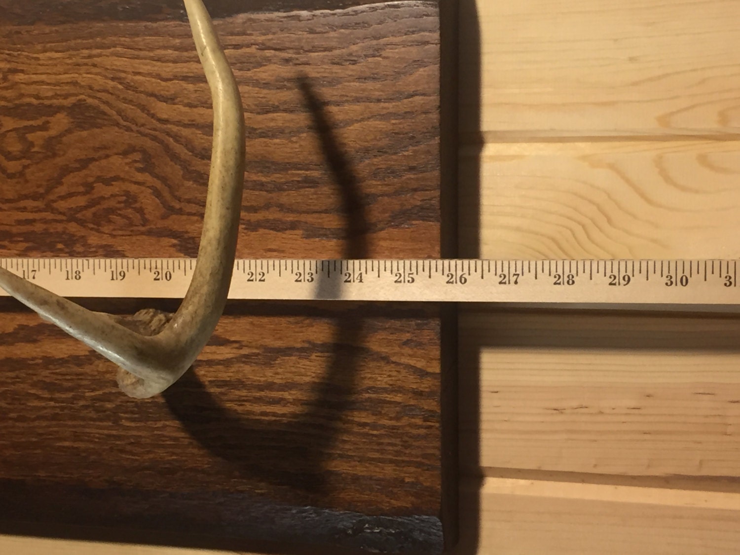 Deer Antler gun rack for vintage rifle BLACK OAK