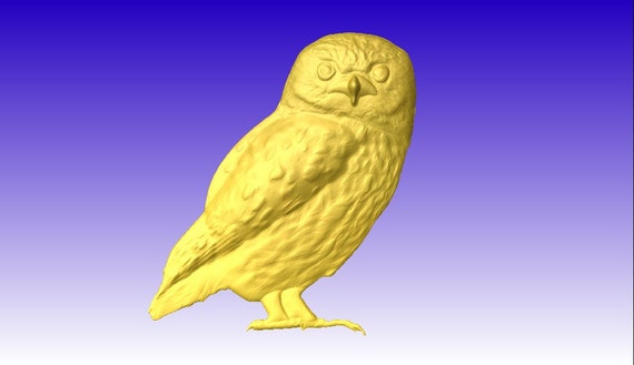 Download Owl 3D Vector Model for cnc projects or sign pattern relief carving in stl file format from ...