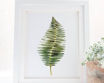 Fern print illustration botanical watercolor art, Fern poster botanical wall art print, Nature art botanical fern prints. Leaf home decor