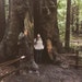 Katelyn