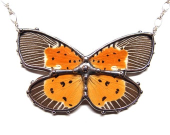 Statement Necklace with Real Moth - Wearable Nature Art - Spectacular Peridrome Orbicularis Moth