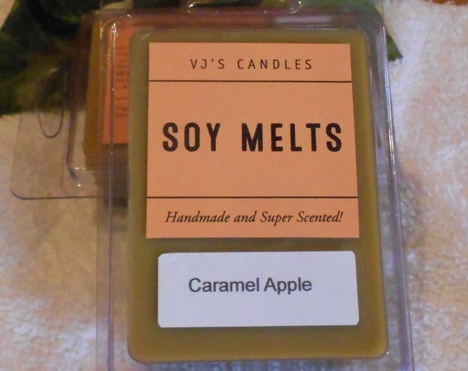 Three Packages of Scented Wax Melts for Wax Melt Warmers: Cantaloupe, Cappuccino Mocha and Caramel Apple
