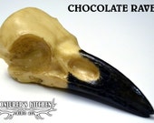 Chocolate Raven Skull