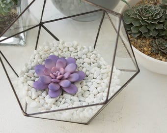 Purple Pink Succulent Fairy Garden in Cup Ideas Polymer Clay Succulent Home House Decor Decoration Modern Minimalist Home Style Housewarming