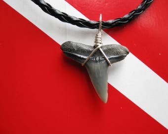 Shark Tooth Necklace, Lemon Shark fossil, Venice-Florida, 18" Braided leather, Silver plated wire wrap