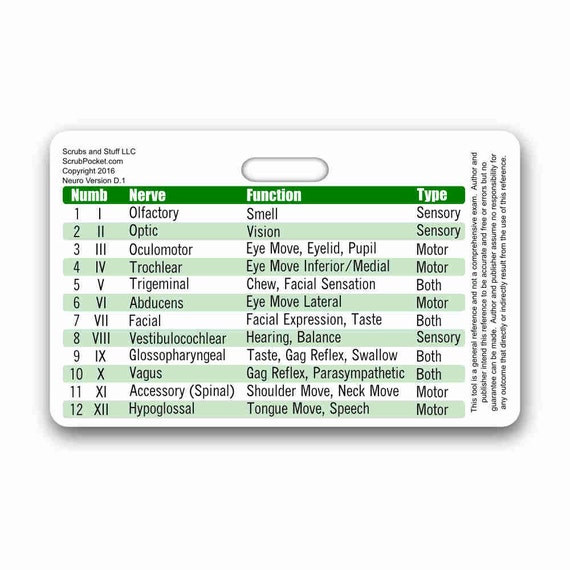 Cranial Nerves Horizontal Badge Card