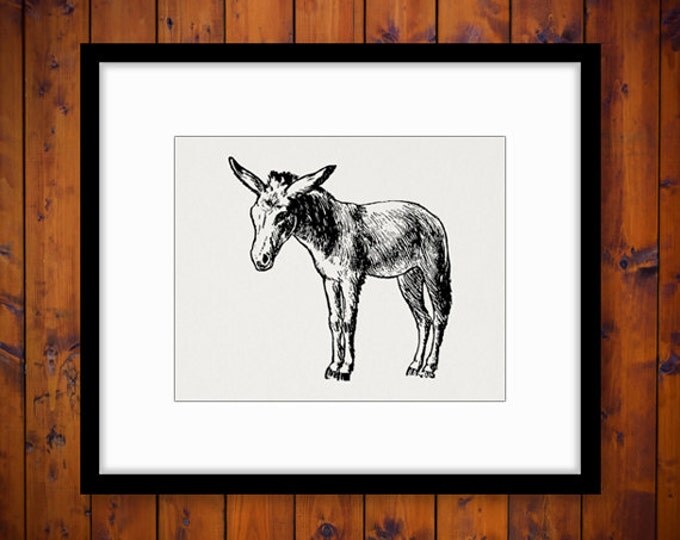 Printable Little Donkey Graphic Download Antique Horse Image Digital Jpg Png Eps HQ 300dpi No.737