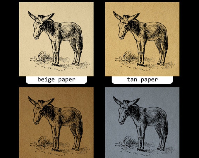 Printable Little Donkey Graphic Digital Horse Download Image Antique Clip Art Jpg Png Eps HQ 300dpi No.605