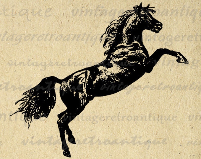 Antique Horse Graphic Printable Download Image Leaping Horse Digital Vintage Clip Art Jpg Png Eps HQ 300dpi No.4060