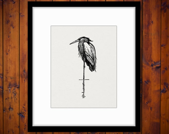 Digital Heron Bird Graphic Download Image Printable Antique Clip Art Jpg Png Eps HQ 300dpi No.138