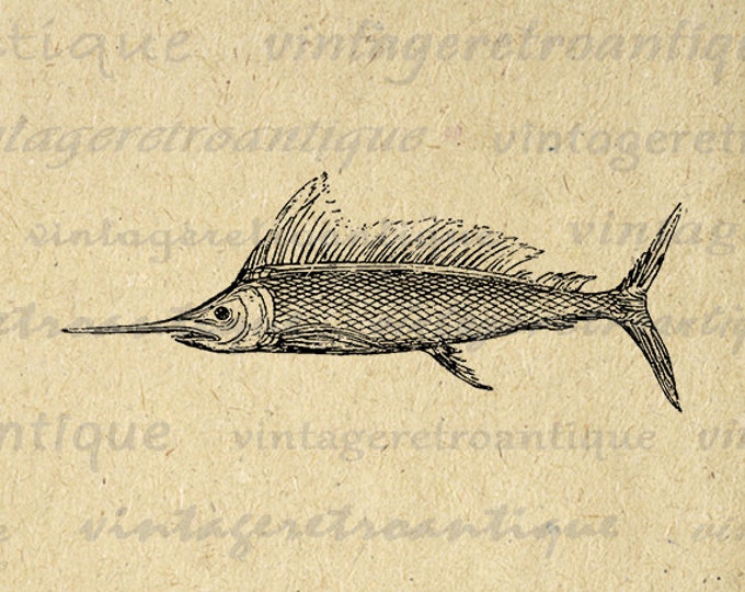 Printable Swordfish Graphic Digital Fish Image Download Vintage Clip Art Jpg Png Eps HQ 300dpi No.595