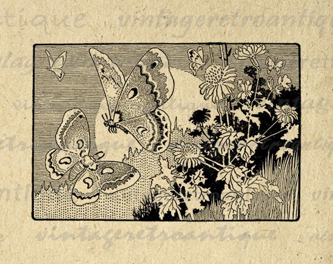 Digital Printable Butterflies Download Antique Illustration Graphic Image Vintage Clip Art Jpg Png Eps HQ 300dpi No.754