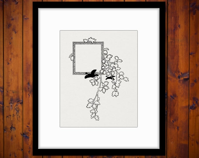 Birds Frame Printable Graphic Digital Design Element Download Image Vintage Clip Art Jpg Png Eps HQ 300dpi No.2113