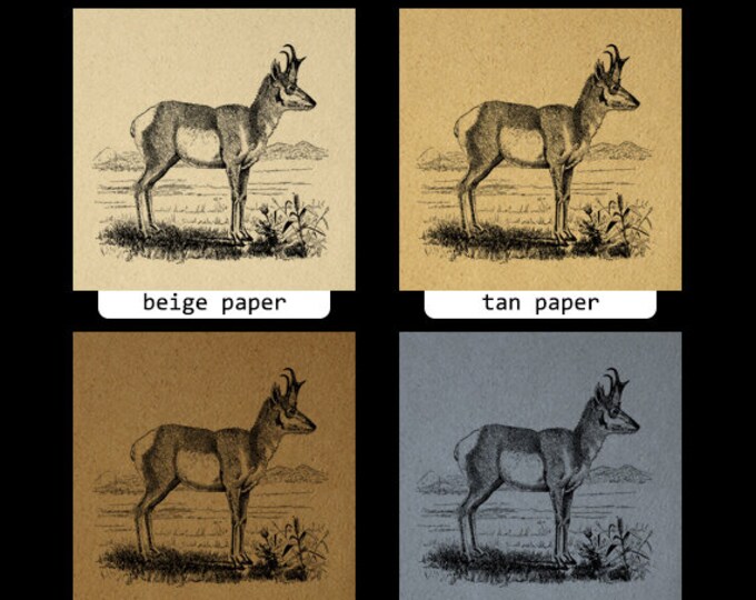 Antique Antelope Digital Graphic Image Printable Download Illustration Jpg Png Eps HQ 300dpi No.2160