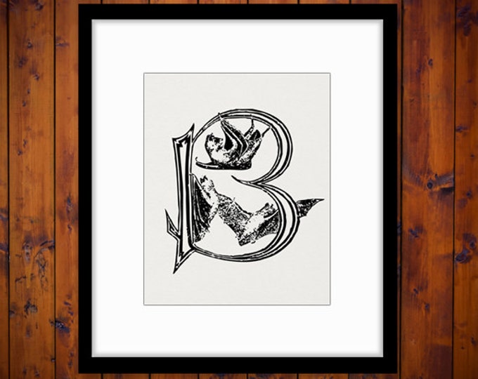 Digital Image Letter B with Bats Printable Halloween Download Letter B Bats Graphic for Transfers Tote Bags Tea Towels etc HQ 300dpi No.4705