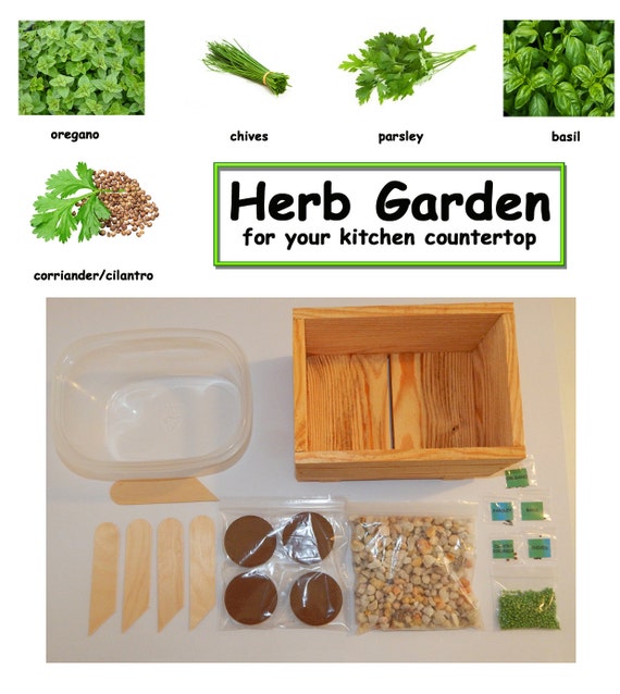 Herb Kitchen Garden Kit Everything Needed For Indoor Growing   Il 570xN.1169818295 7f4m 