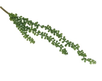 Faux String of Pearls Succulent, 18 inch Artificial Succulent Pick, Realistic Fake Succulents, DIY Floral Arranging Supply