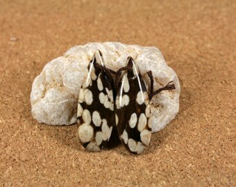Peanut Wood Jasper Matched Pair - Ivory and Brown Teardrop Matched Pair
