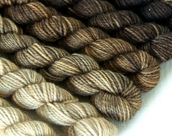 SAHARA DESERT 240 yard mini-skein set, High Twist Sock, superwash, merino, fingering weight, sock yarn, gradient, ombre