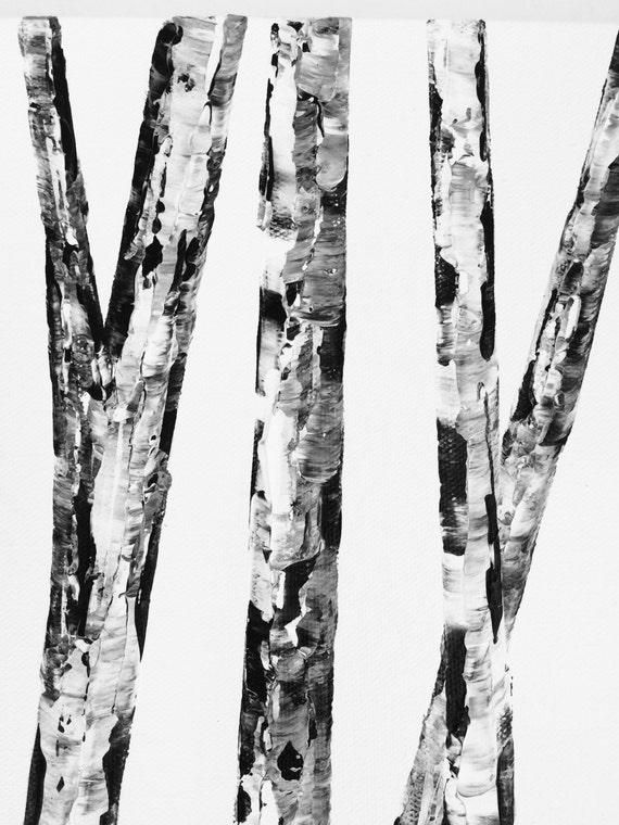 white paper birch tree for sale white paper birch tree for sale