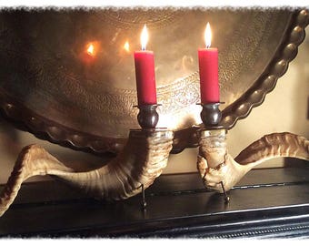 Rams Horn Candlestick Holder Pair. Beautiful Vintage Taxidermy.