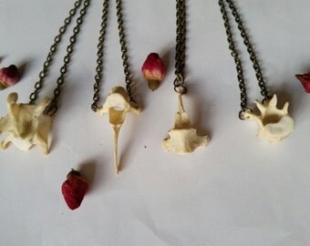 Real fox animal bone jewellery vertebrae spine bronze chain necklaces Taxidermy Oddities