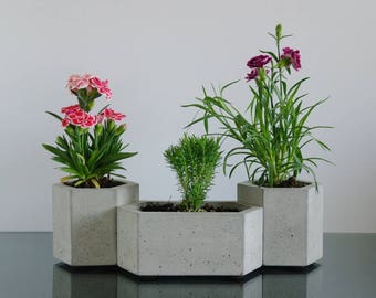 Set of 3: Hexagon concrete planters, Cactus planter, Succulent planter, Flower pot, Concrete pot, Modern planter, Hexagon planter