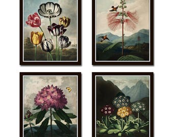 Botanical Print Set No. 15, Antique Botanical Prints, Giclee, Art Print, Botanical Prints, Wall Art, Print, Cottage Decor, Botanical Art