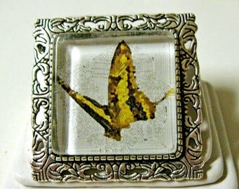Butterfly convertible pendant or brooch with chain - WAP35-011