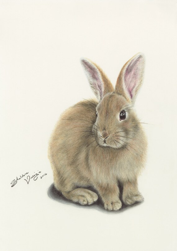 Bunny Print bunny drawing rabbit drawing easter bunny