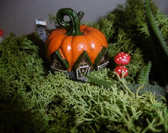 fairy house,pumpkin house,micro pumpkin,fairy garden,fairy pumpkin,accesories,supplies,fairy land,miniture house,miniture pumpkin,minitures