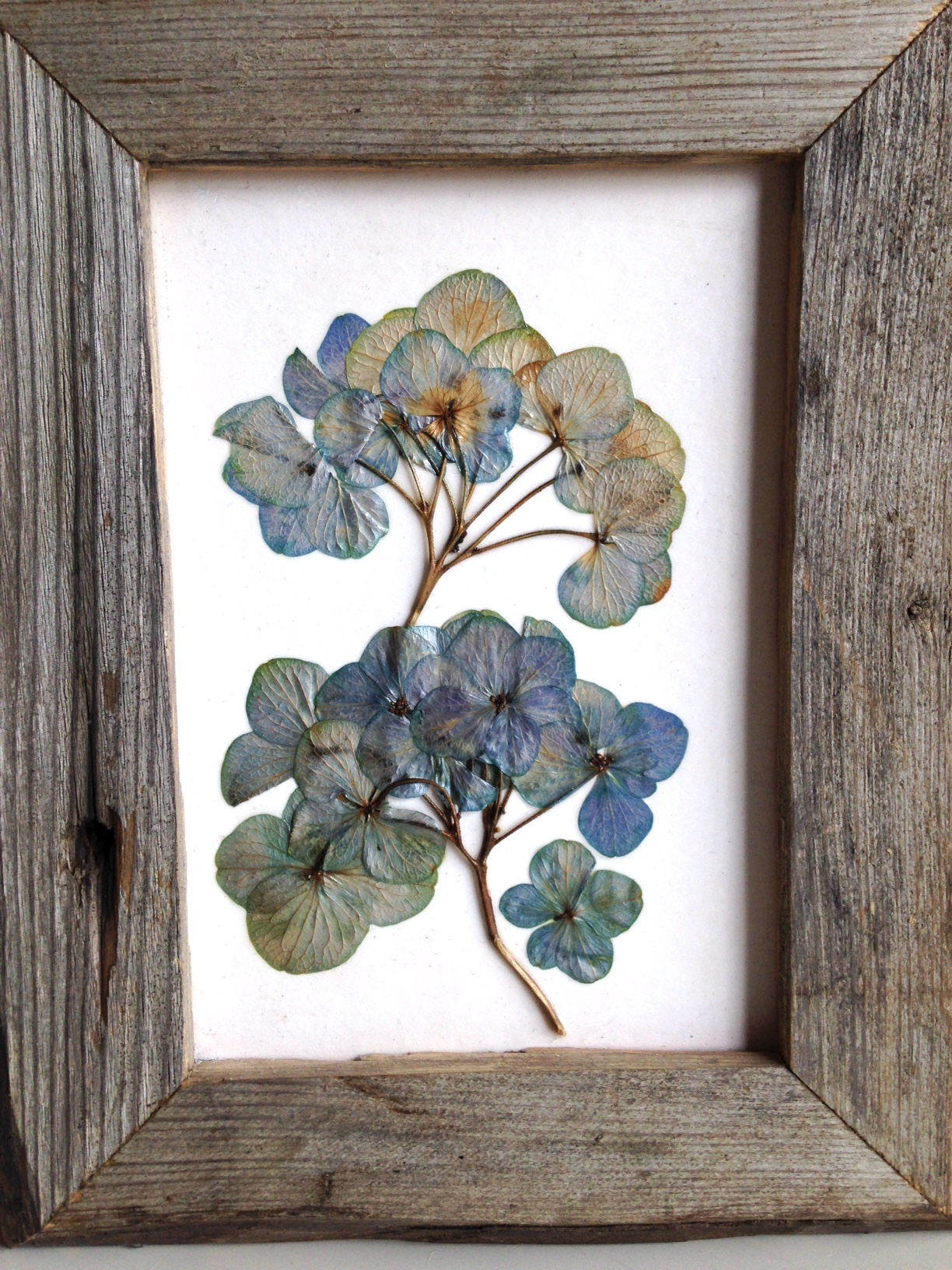 Pressed flowers framed home decor framed in naturally