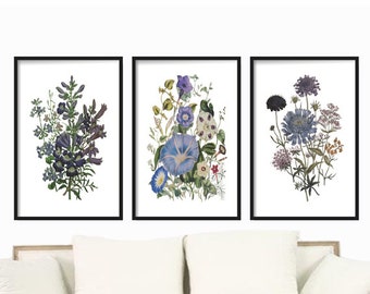 Blue Botanical Prints Set of 3 prints, Wall Art Botanical Prints set , Art Prints, Antique Botanical Prints, Posters, Blue Floral Wall Art