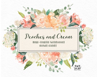 Flower Watercolour Clipart, Hand Painted Graphics - Peaches and cream. Digital graphic download with leaves, roses, peonies and hydrangeas.