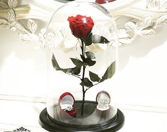 Red Belle Rose in glass,Disney,Beauty and the Beast rose,forever rose,gift for here,preserved roses,eternal rose enchanted,preserved flowers