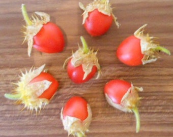 Litchitomate/Litchitomato 10 graines/seeds « RAR » & « Super doux »