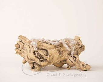 Driftwood Newborn Digital Backdrop, Neutral Digital Backdrop