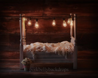 4 Post Bed, Edison Bulbs, Newborn Digital Backdrop