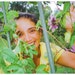 WELLABRATION Natural Health