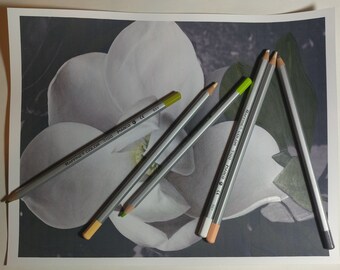 Magnolia Coloring Page with Tutorial Digital Download