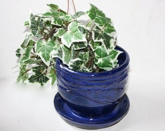 Blue Succulent Planter Ceramic Stoneware also for Houseplants or Cactus with built in drainage tray