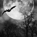 Noir Heart
