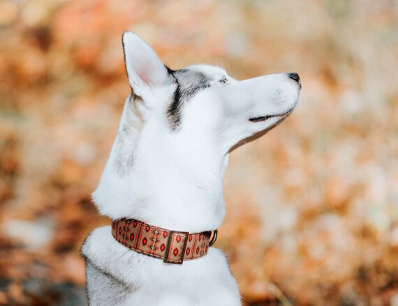 Khaki Brown Southwest Dog Collar