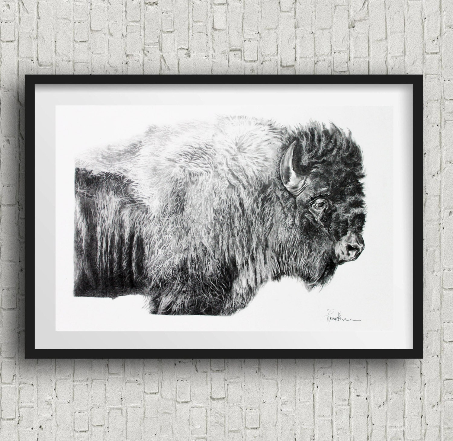 Bison Wall Art Black White Bison Black and White Bison Poster