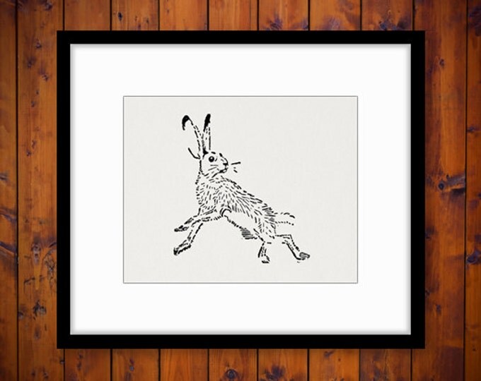 Printable Image Wild Hare Download Rabbit Graphic Bunny Digital Jpg Png Eps HQ 300dpi No.067