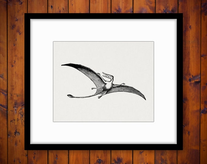 Printable Image Pterodactyl Flying Dinosaur Graphic Digital Download Antique Clip Art Jpg Png Eps HQ 300dpi No.2707