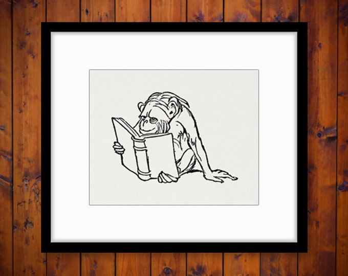 Chimpanzee Monkey with Book Reading Digital Image Download Printable Graphic Vintage Clip Art Jpg Png Eps HQ No.1736